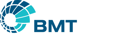 Бмт и вс. БМТ. BMT logo. WMT лого. WBM.